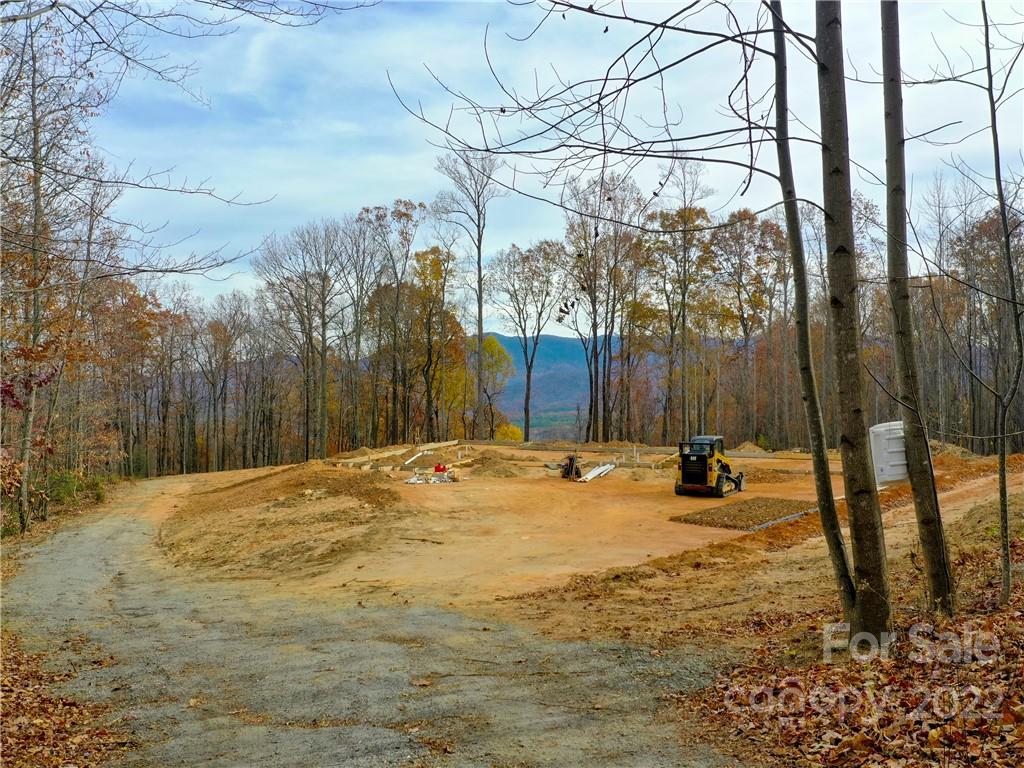 42 Alexander Ridge Way Mill Spring, Unit 118 Mill Spring, NC 28756 - Photo 15 of 35 a view of a yard with trees in the background
