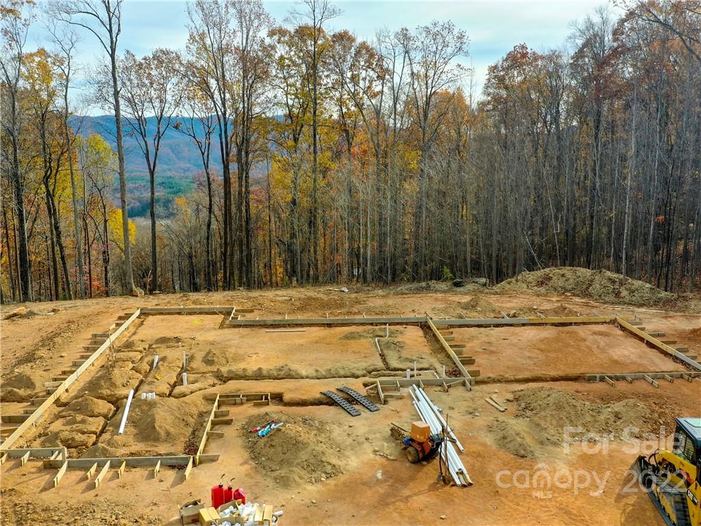 42 Alexander Ridge Way Mill Spring, Unit 118 Mill Spring, NC 28756 - Photo 16 of 35 a view of a backyard of the house