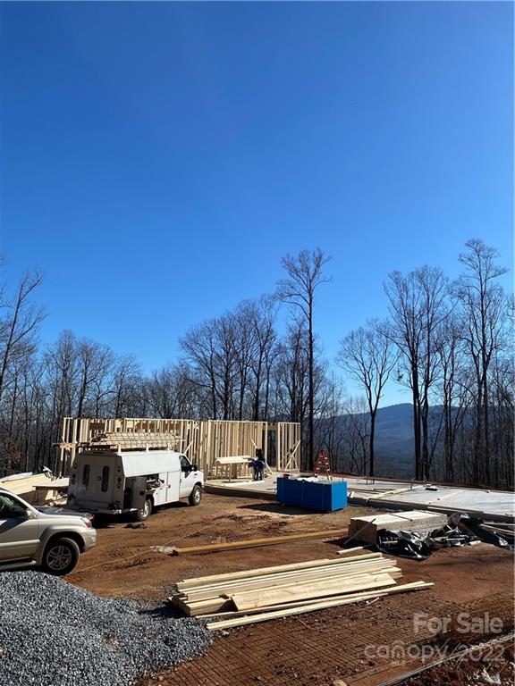 42 Alexander Ridge Way Mill Spring, Unit 118 Mill Spring, NC 28756 - Photo 20 of 35