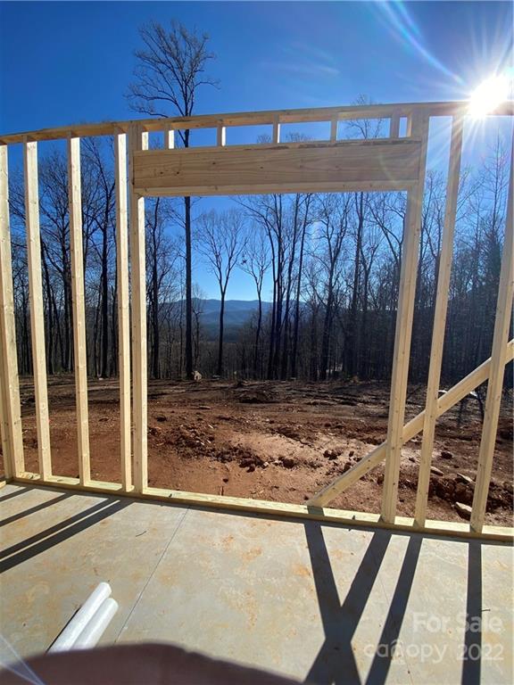 42 Alexander Ridge Way Mill Spring, Unit 118 Mill Spring, NC 28756 - Photo 21 of 35 a view of backyard with green space