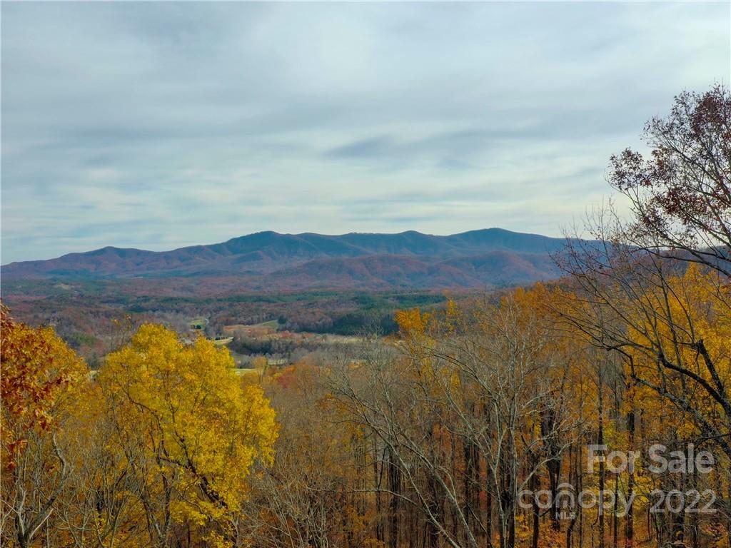 42 Alexander Ridge Way Mill Spring, Unit 118 Mill Spring, NC 28756 - Photo 27 of 35 a view of lake and mountain