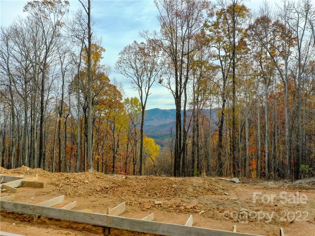 42 Alexander Ridge Way Mill Spring, Unit 118 Mill Spring, NC 28756 - Photo 33 of 35 a view of wooden fence next to a yard