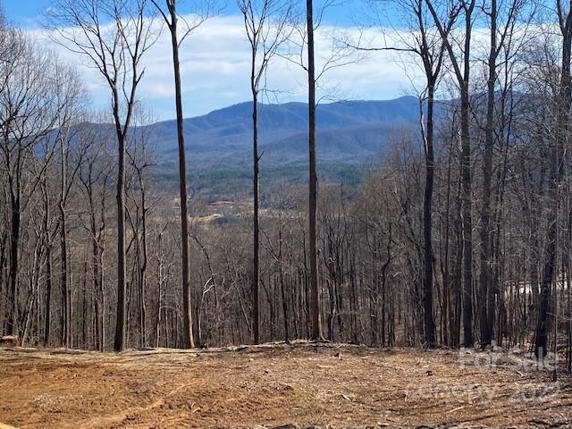 42 Alexander Ridge Way Mill Spring, Unit 118 Mill Spring, NC 28756 - Photo 6 of 35 a view of a backyard of the house