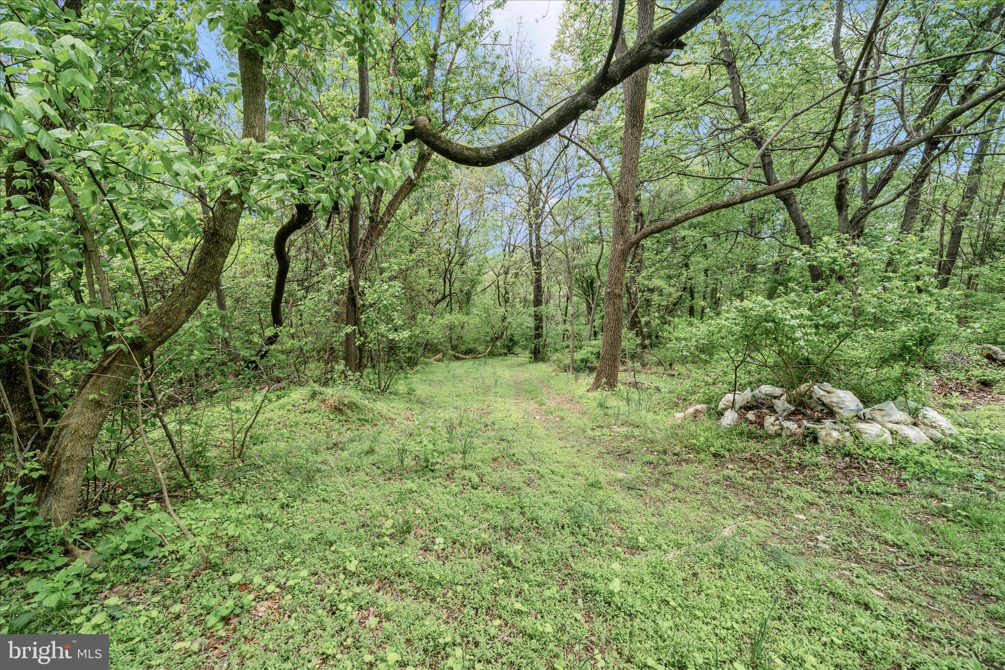 20807 Townsend Road Rohrersville, MD 21779 - Photo 56 of 63 Backyard Trails