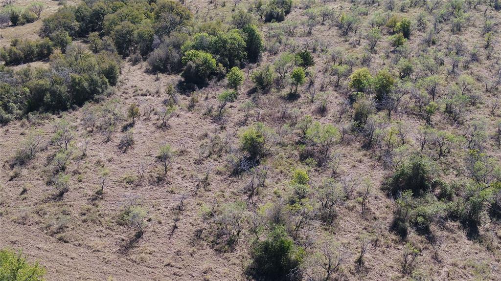 1 County Road Mexia, TX 76667 - Photo 3 of 33 a view of a dry field with trees in the background