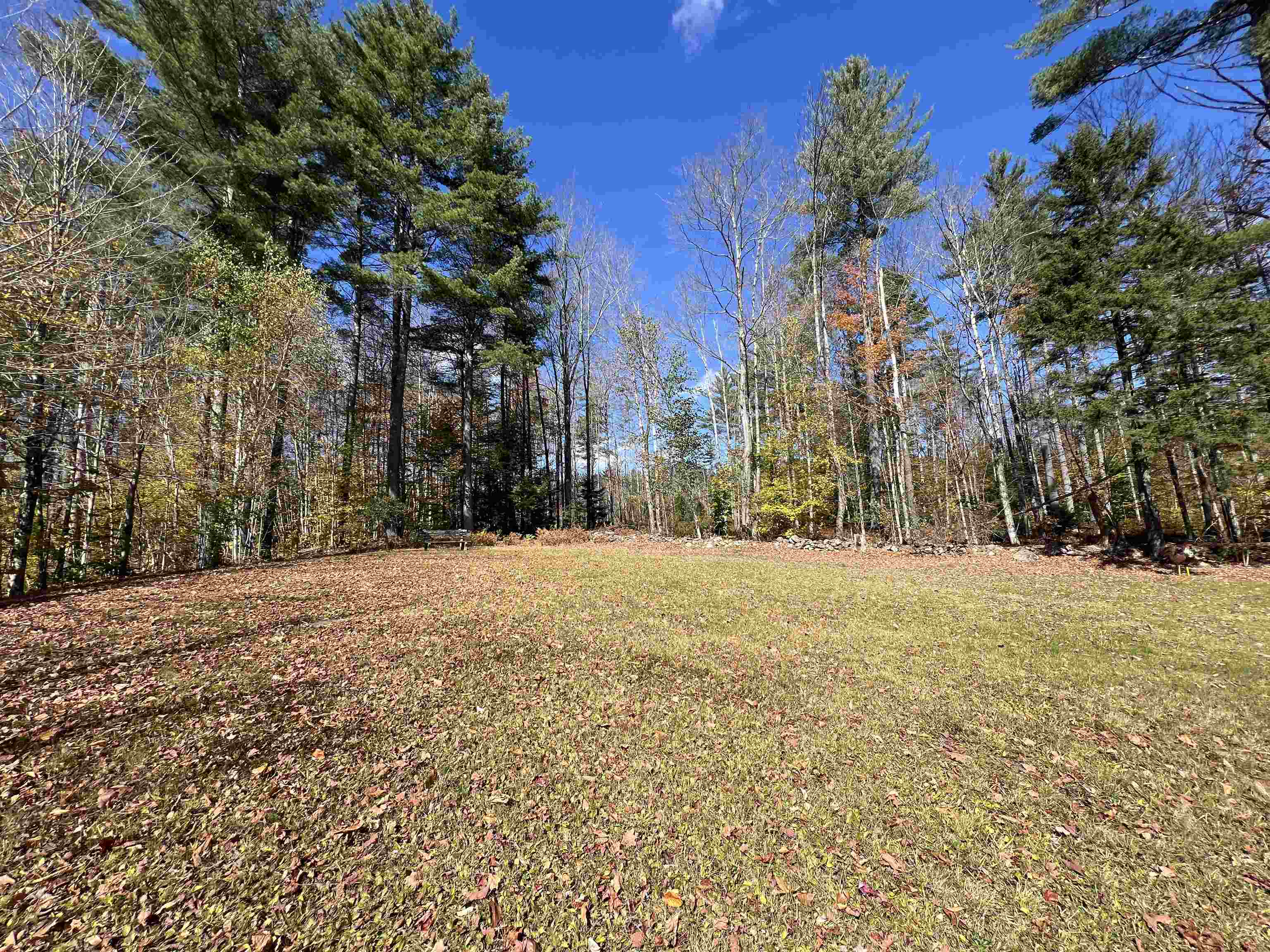 4448 Vermont Rte 100 Wardsboro, VT 05355 - Photo 42 of 45