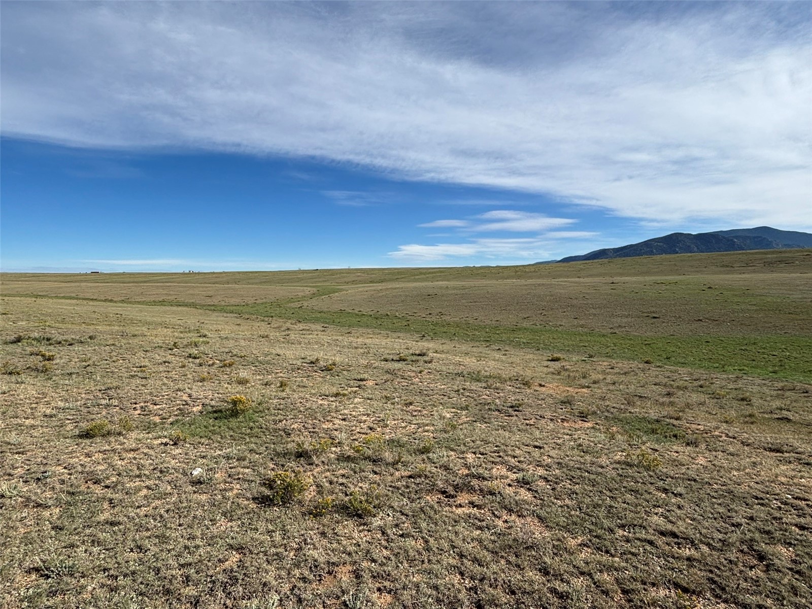 6561 Jackson Road Hartsel, CO 80449 - Photo 11 of 20 Gallery Image 11