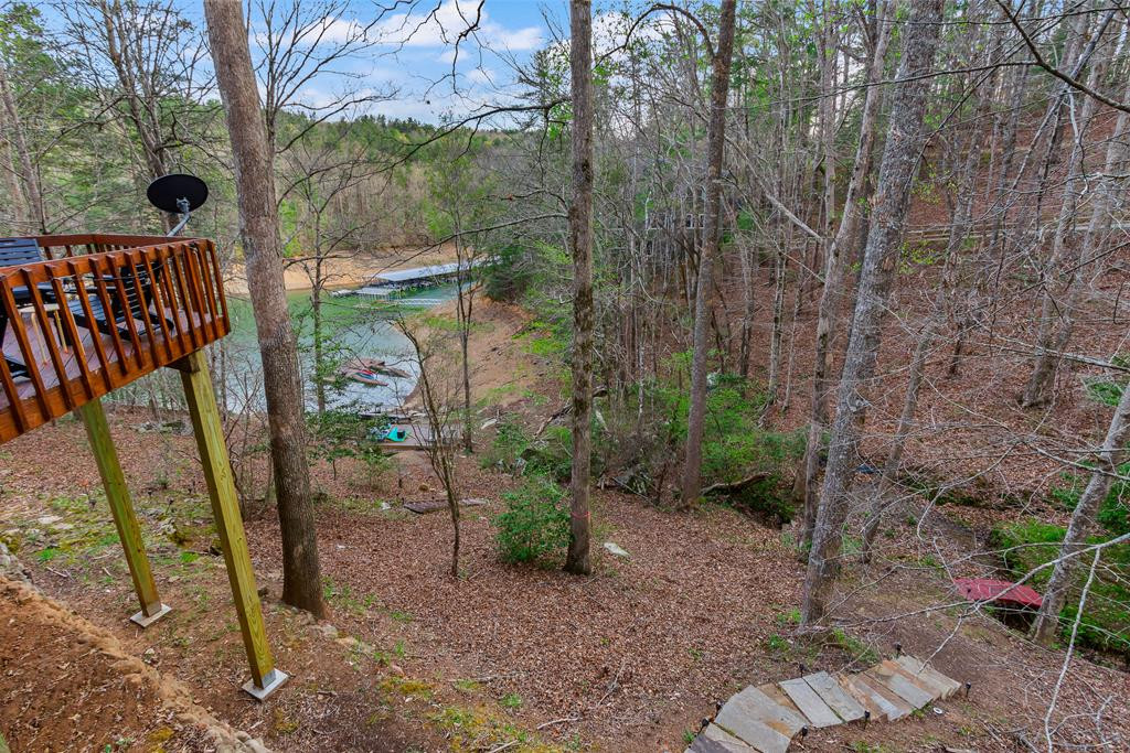 899 Lonesome Pine Road Murphy, NC 28906 - Photo 74 of 87