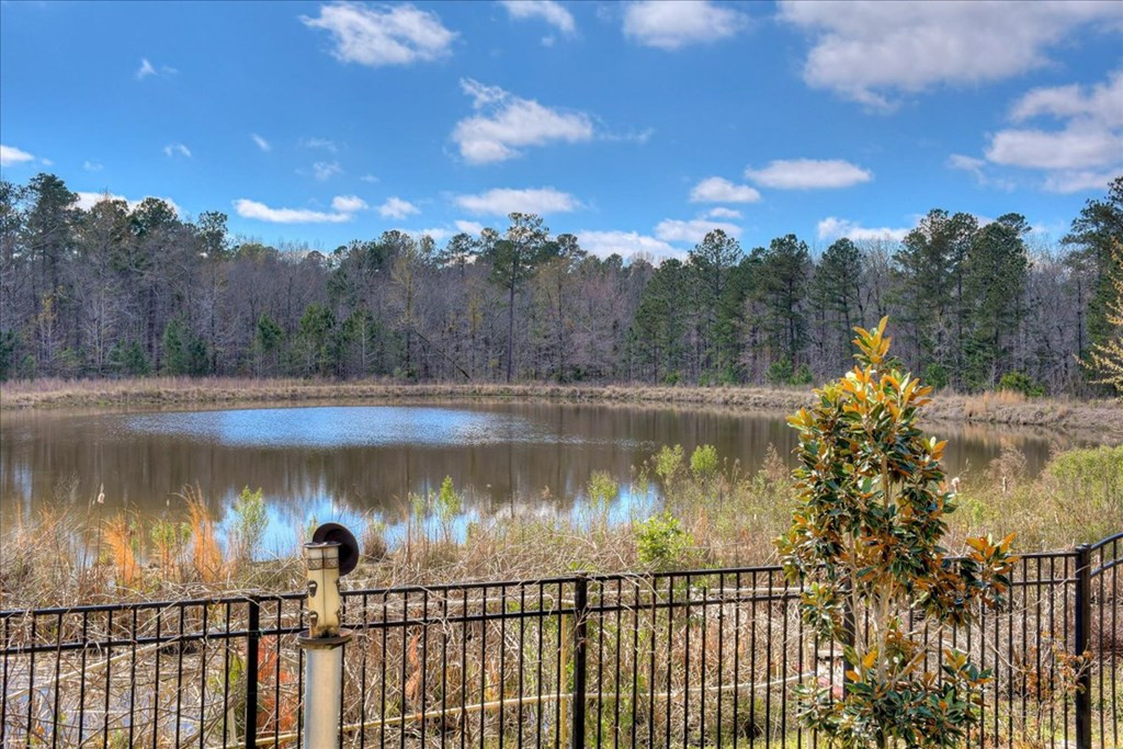4551 Coldwater Street Grovetown, GA 30813 - Photo 60 of 70 Gallery Image 60