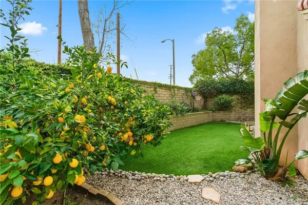 a view of a garden with a flower garden