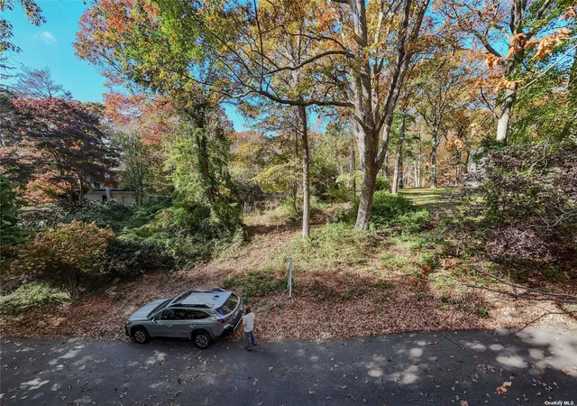 a car parked in front of a road