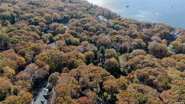 a view of a bunch of trees and covered in the background