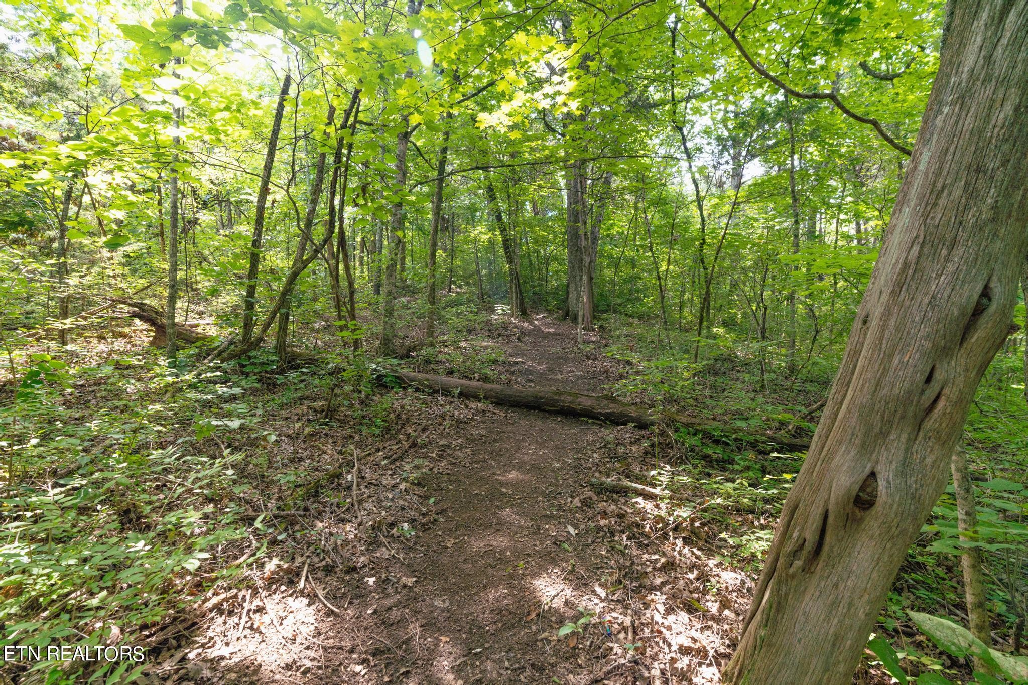 0 Brown Mountain Loop Road Knoxville, TN 37920 - Photo 11 of 24 Gallery Image 11