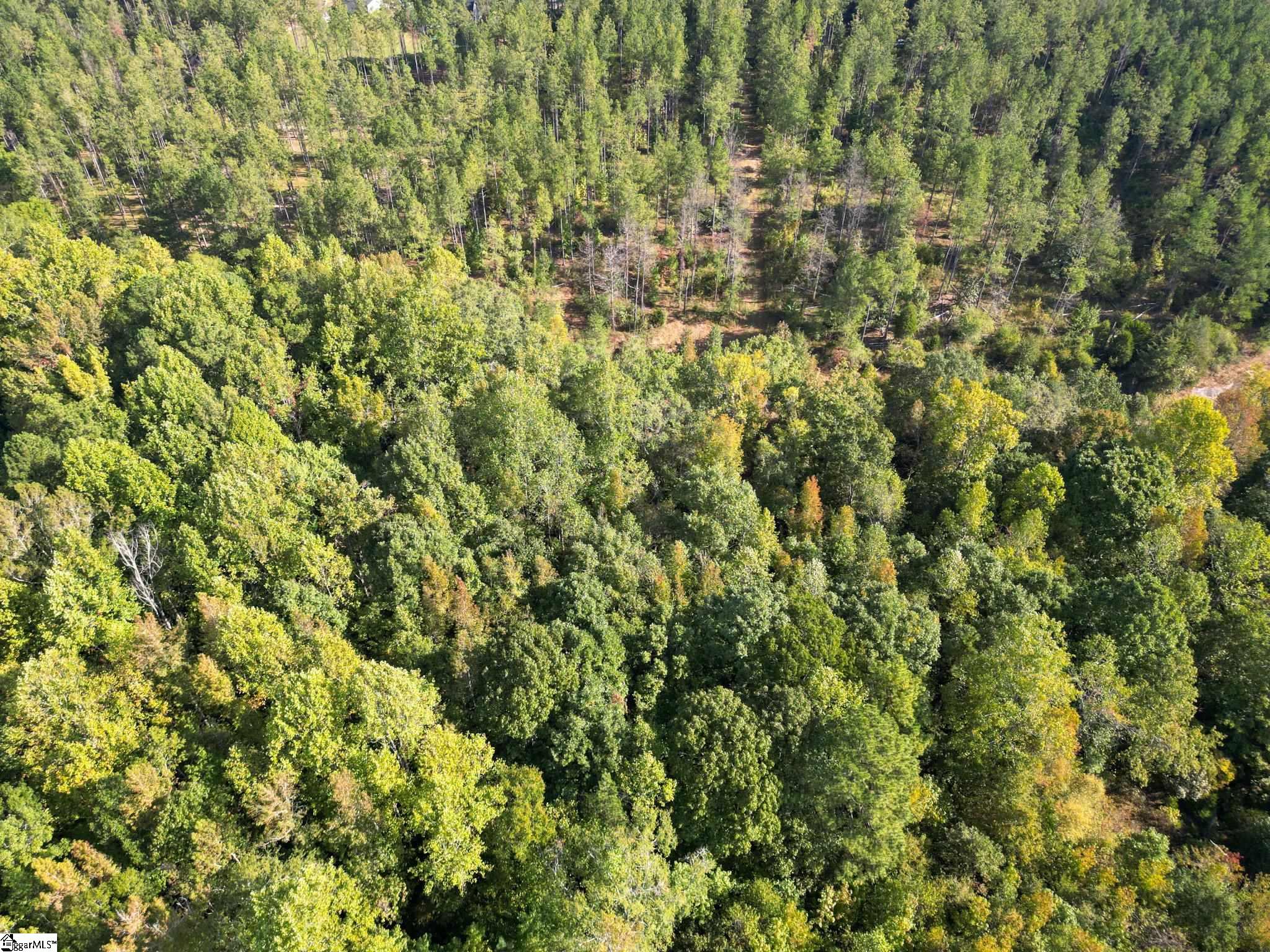 872 Dunklin Bridge Road Fountain Inn, SC 29644 - Photo 11 of 30