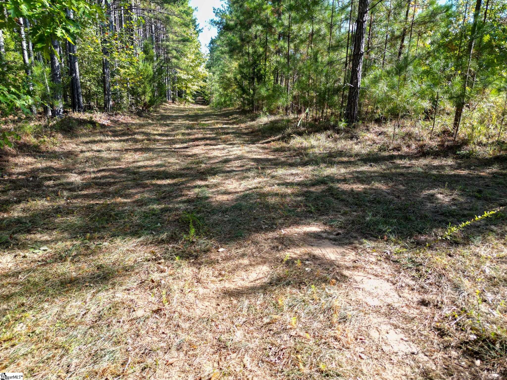 872 Dunklin Bridge Road Fountain Inn, SC 29644 - Photo 5 of 30