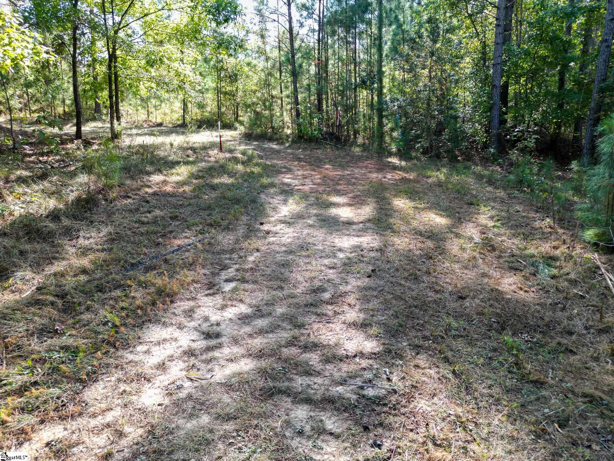 872 Dunklin Bridge Road Fountain Inn, SC 29644 - Photo 6 of 30