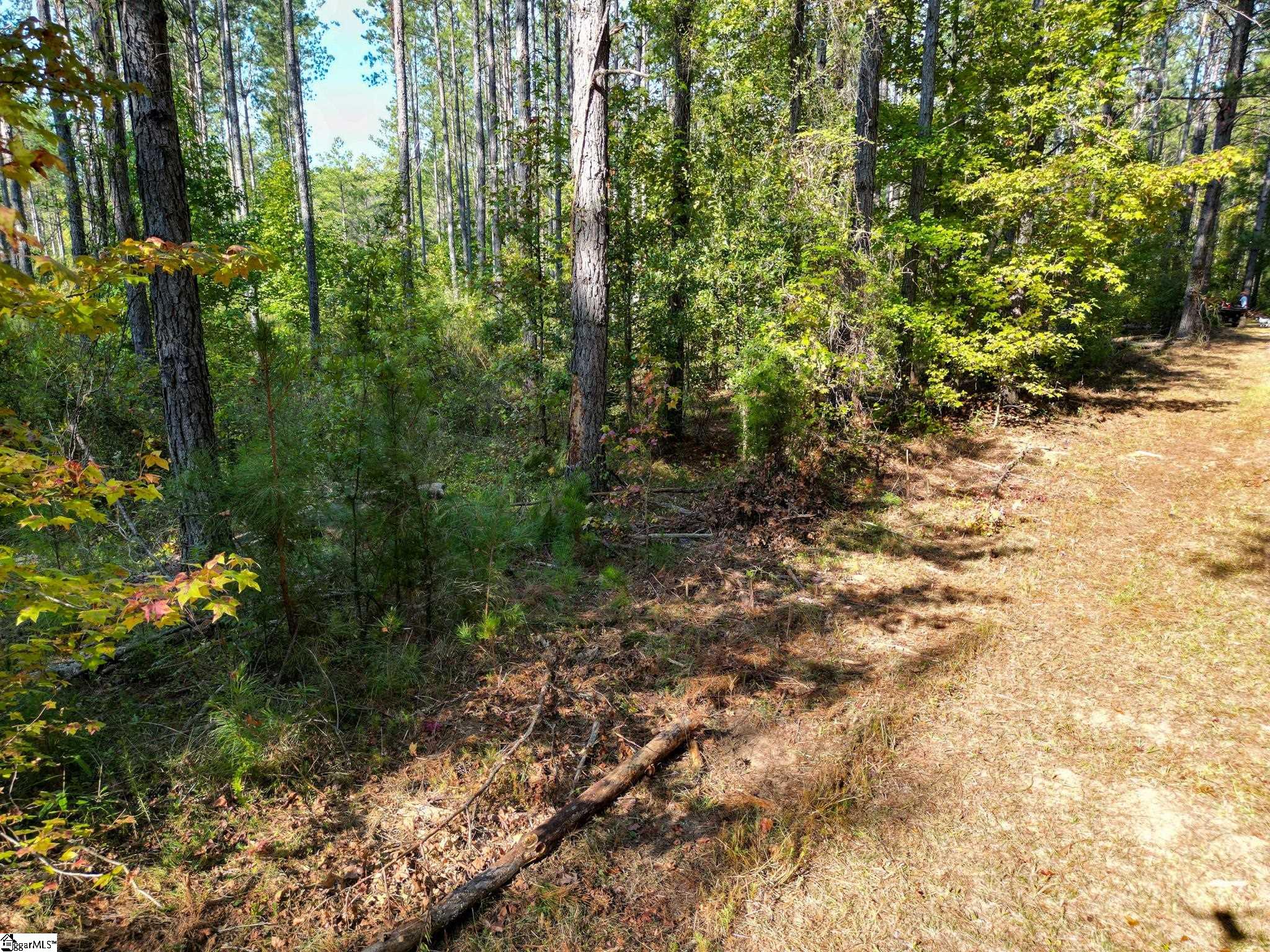 872 Dunklin Bridge Road Fountain Inn, SC 29644 - Photo 8 of 30