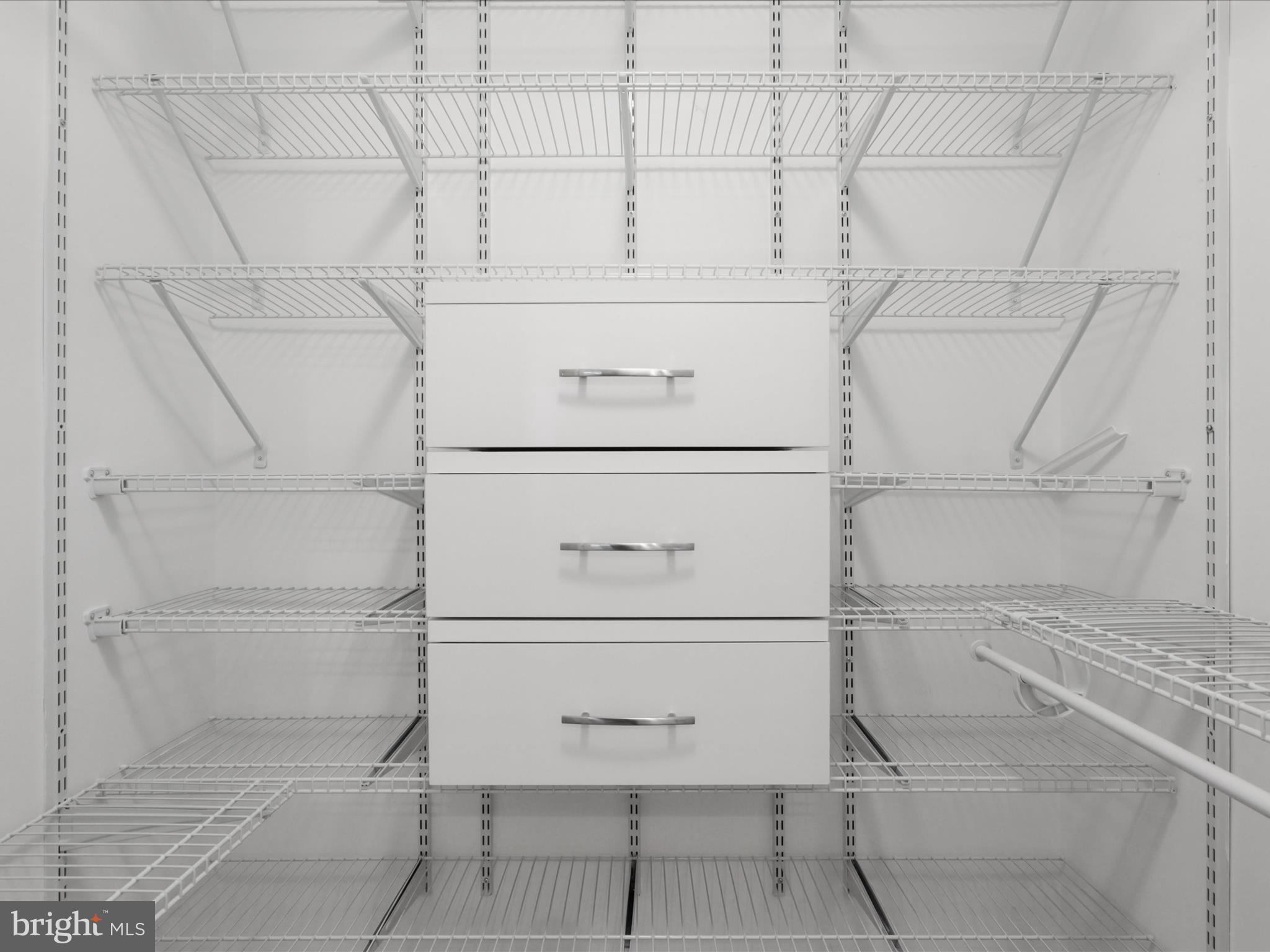 6535 Riefton Court Alexandria, VA 22310 - Photo 23 of 44 Walk-in closet in Primary with built-ins