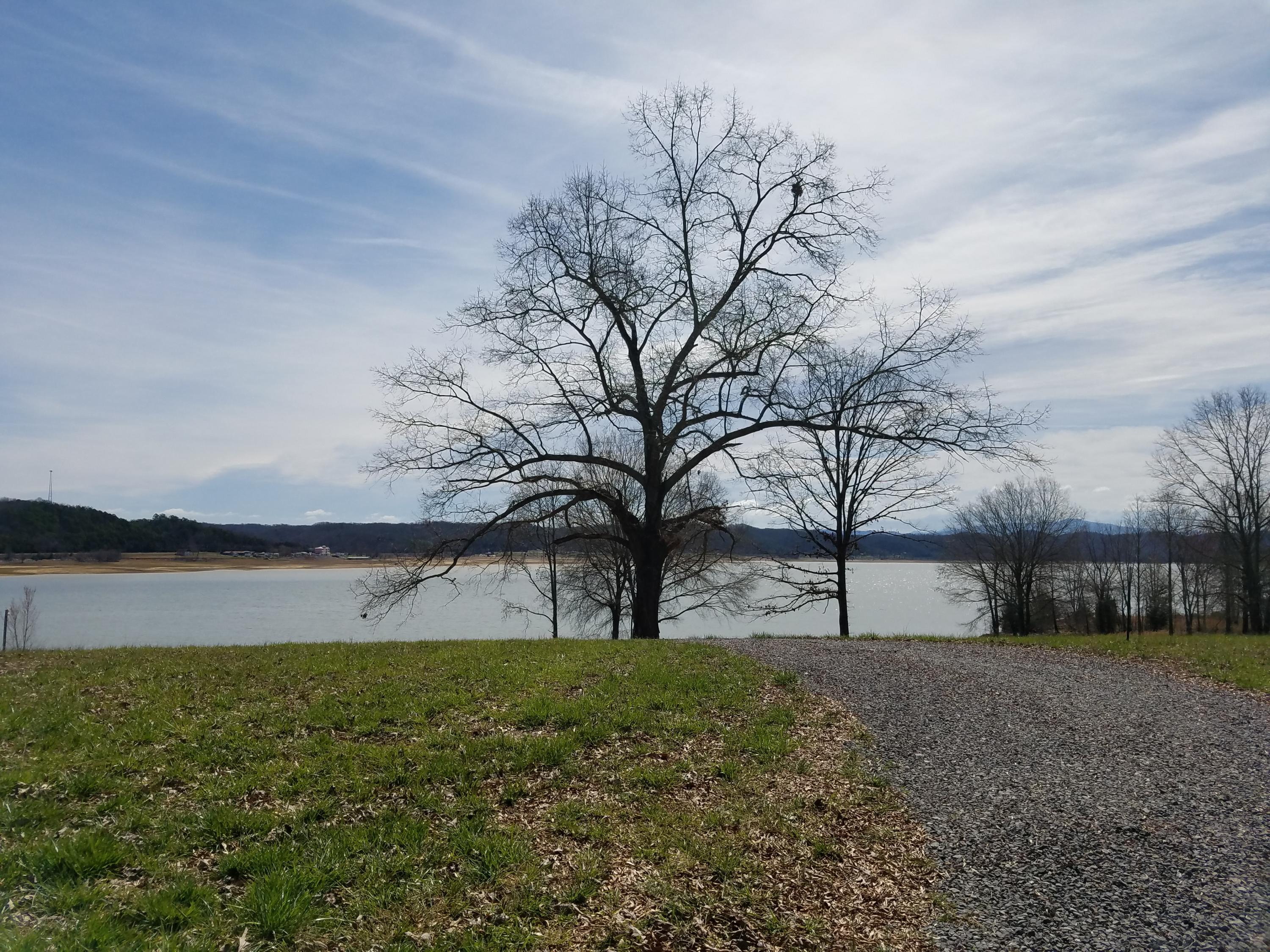 838 Harrison Ferry Road White Pine, TN 37890 - Photo 3 of 11 20170322_120535