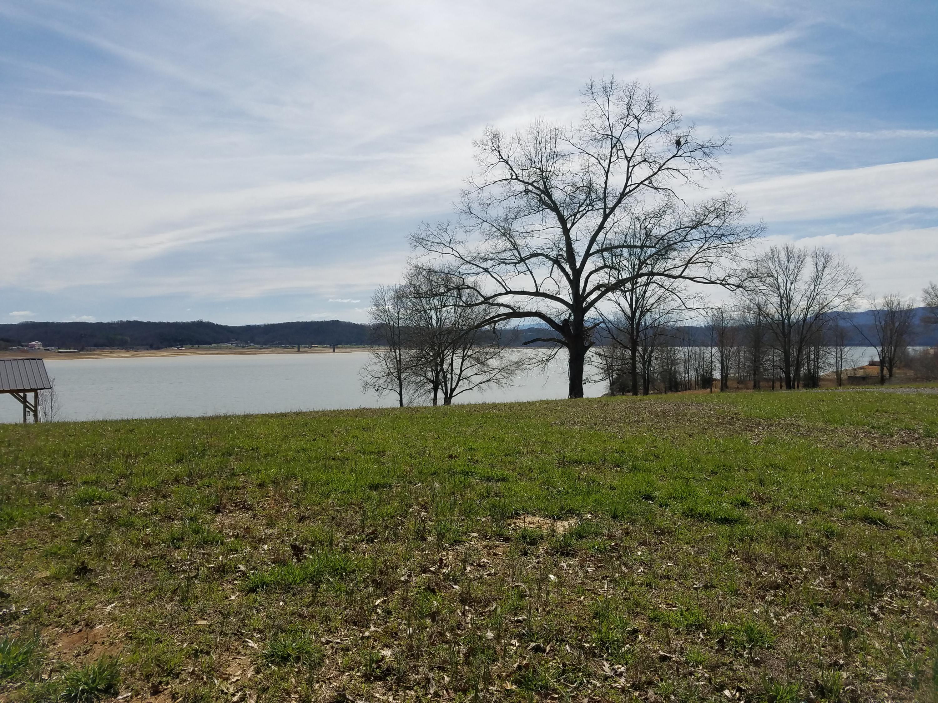 838 Harrison Ferry Road White Pine, TN 37890 - Photo 6 of 11 20170322_120607