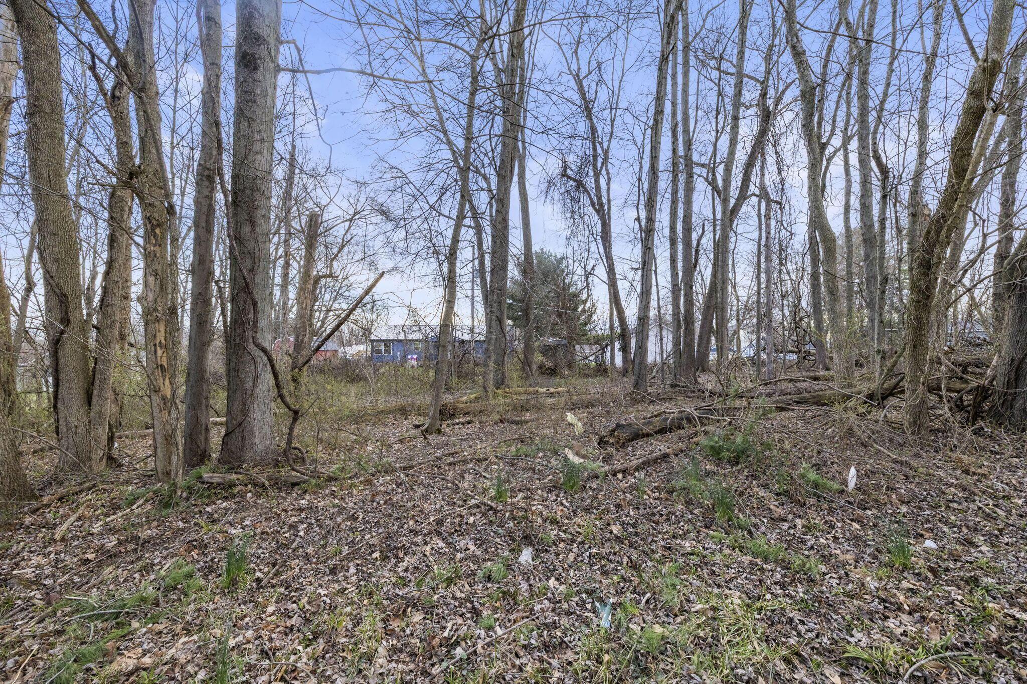 0 King Road Northeast Thornville, OH 43076 - Photo 9 of 31 49-web-or-mls-JN4A4925