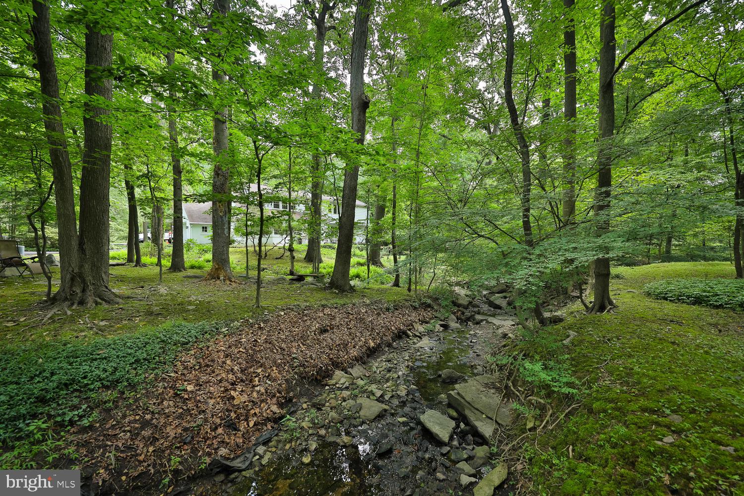 2505 Edge Hill Road Huntingdon Valley, PA 19006 - Photo 21 of 28 Back yard view