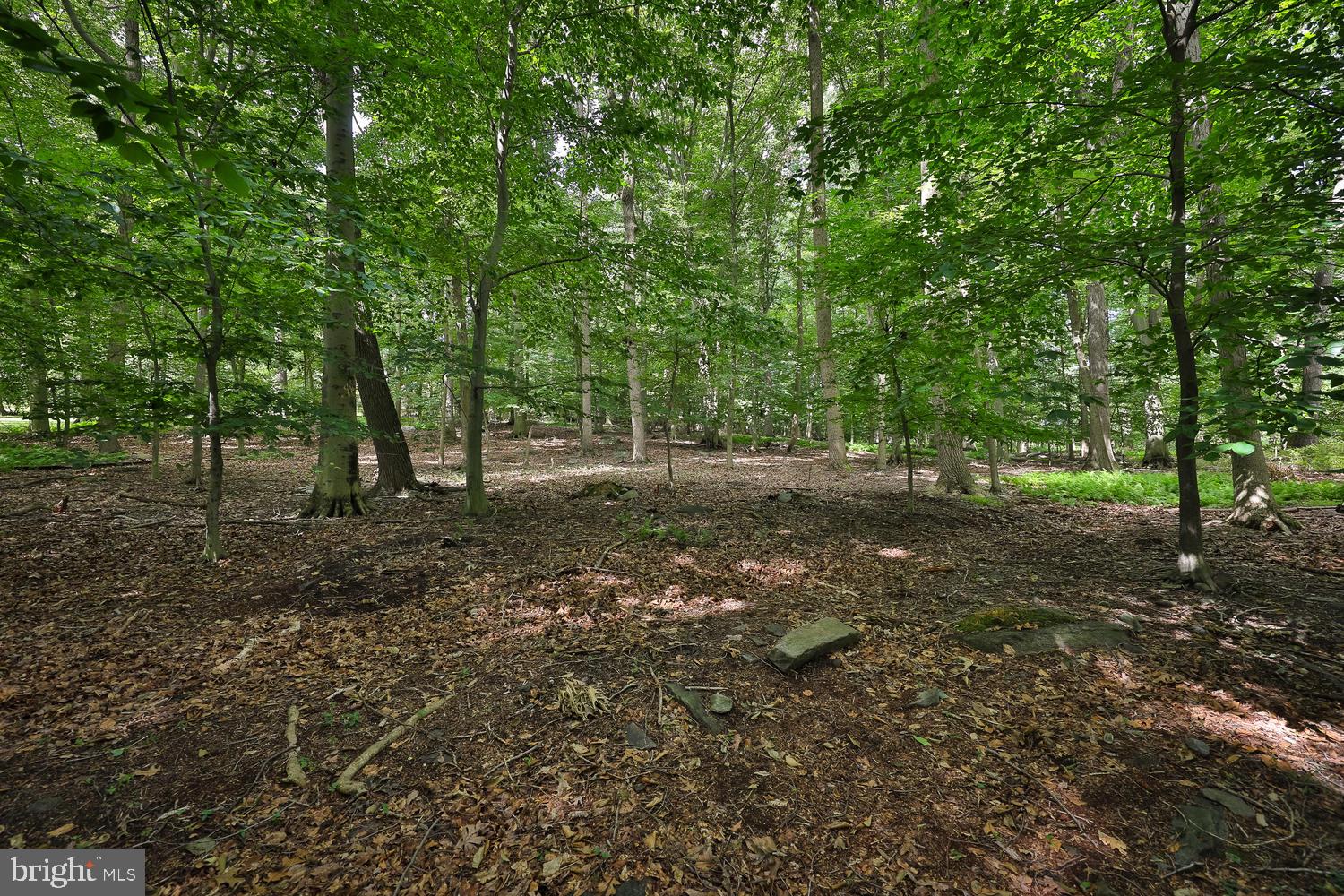 2505 Edge Hill Road Huntingdon Valley, PA 19006 - Photo 23 of 28 View