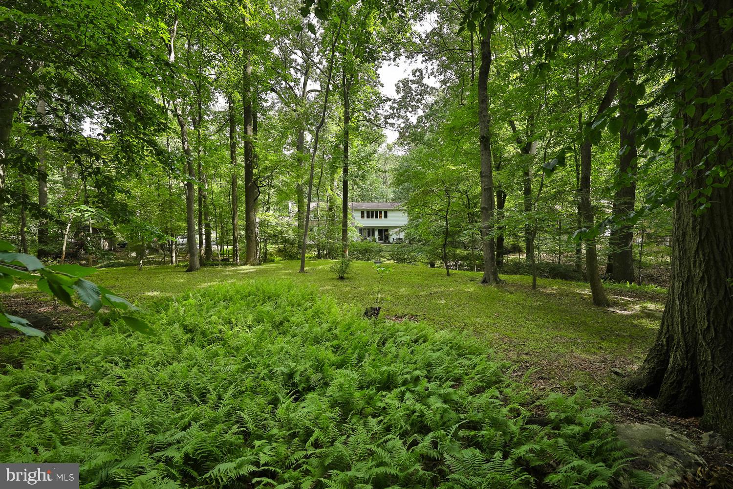 2505 Edge Hill Road Huntingdon Valley, PA 19006 - Photo 24 of 28 View from across creek