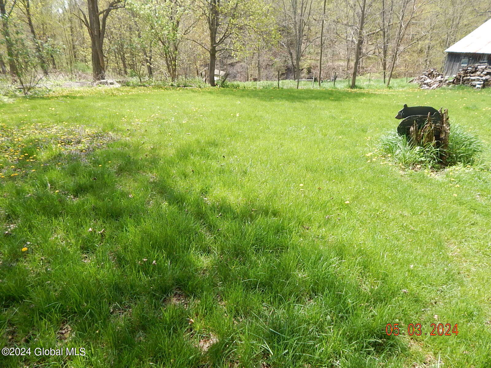 16 County Rte 351 Rensselaerville, NY 12120 - Photo 13 of 14 DSCN1921