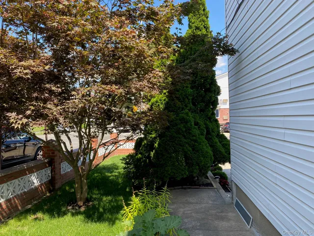 a view of backyard with plants and large tree