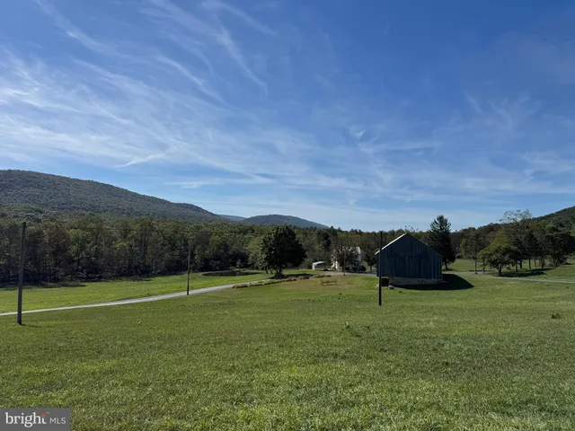 a view of grassy field with trees