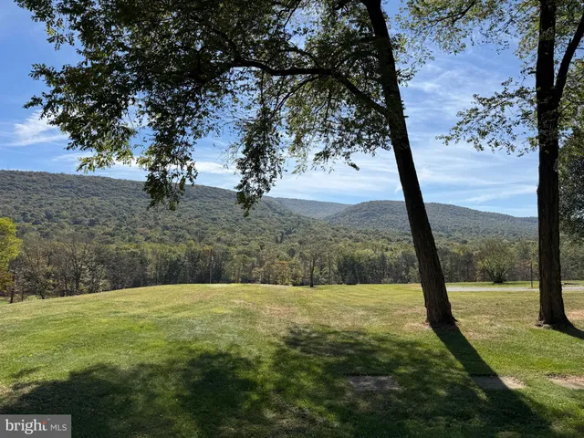 a view of a field with an trees