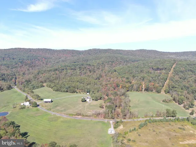 a view of a dry yard with green space