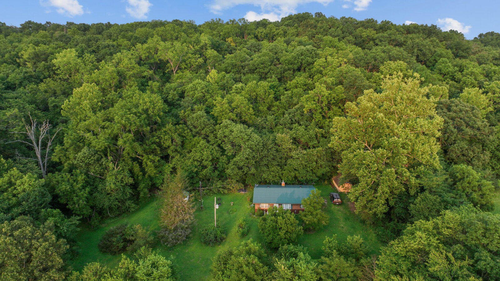 21999 Parrot Road Neosho, MO 64850 - Photo 1 of 1 Whitetail Wilderness