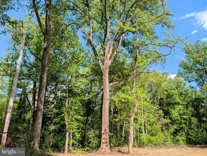 $230,000 | 3964 Hidden Valley Lane, Linden, VA 22642