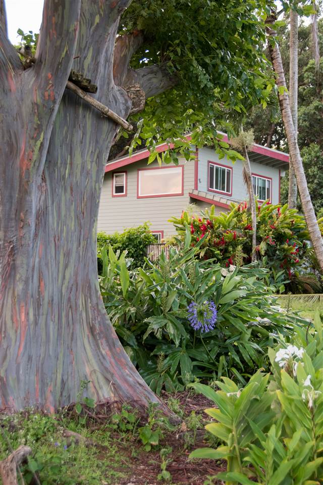 16 Heaaula Street, Unit 1 Haiku, HI 96708 - Photo 1 of 18 Gallery Image 1