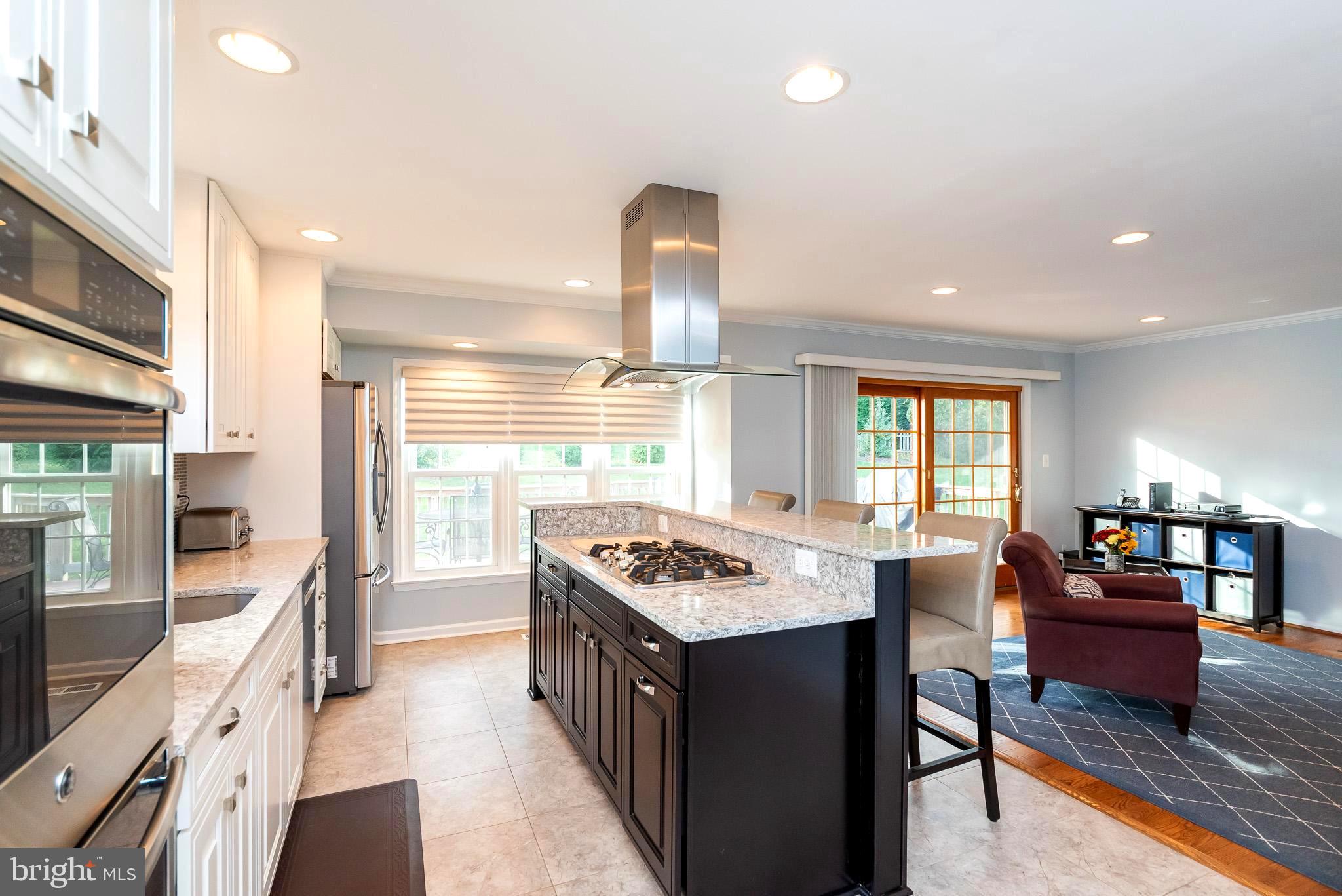 214 Hunters Ridge Road Lutherville-Timonium, MD 21093 - Photo 11 of 42 STUNNING RENOVATED KITCHEN