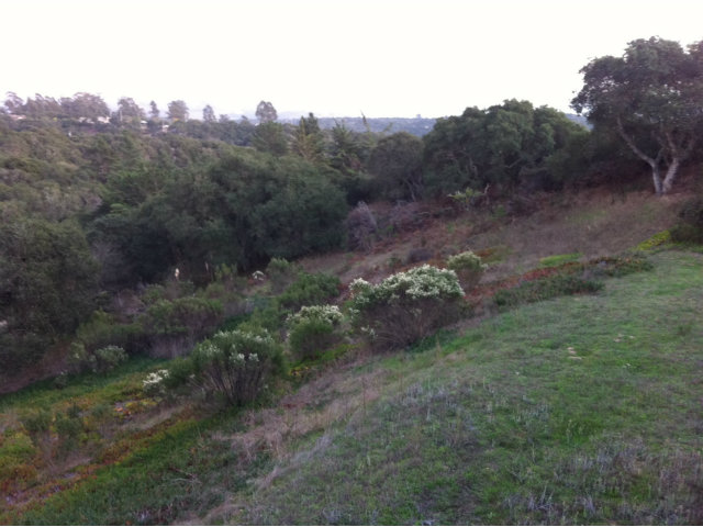 8580 Coker Road Salinas, CA 93907 - Photo 6 of 6 Gallery Image 6