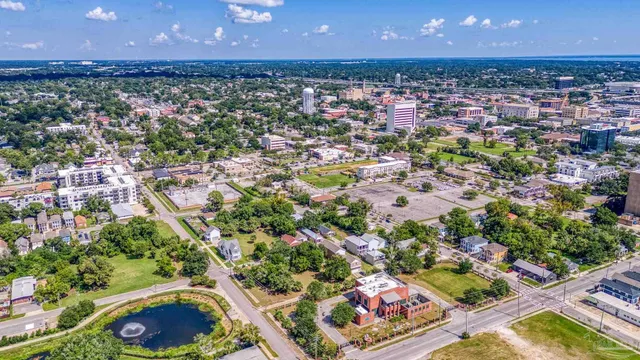 an aerial view of residential houses with outdoor space and trees