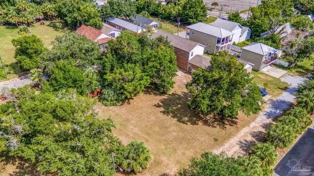 a view of a yard with plants and a pathway
