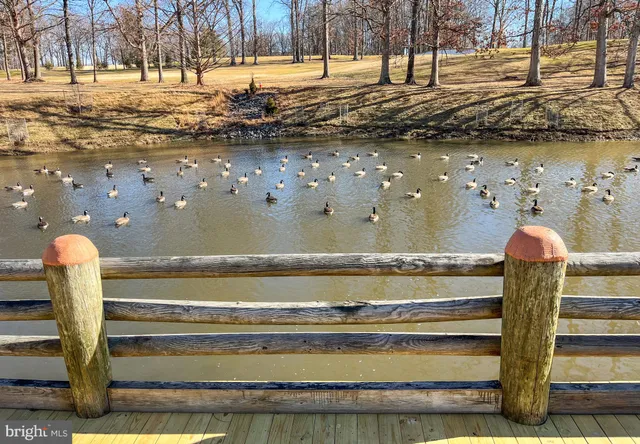 a view of swimming pool with outdoor seating and yard