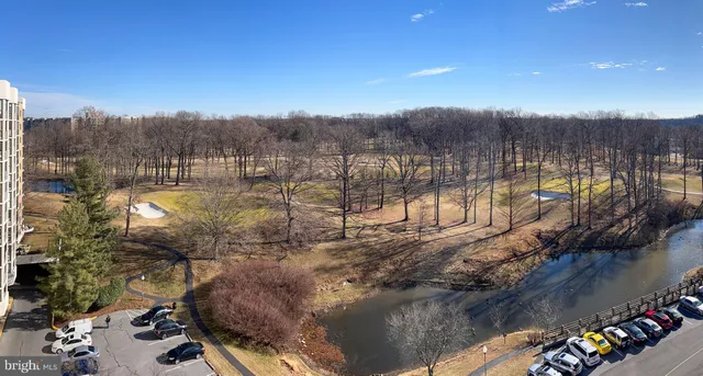 a view of a lake with a mountain