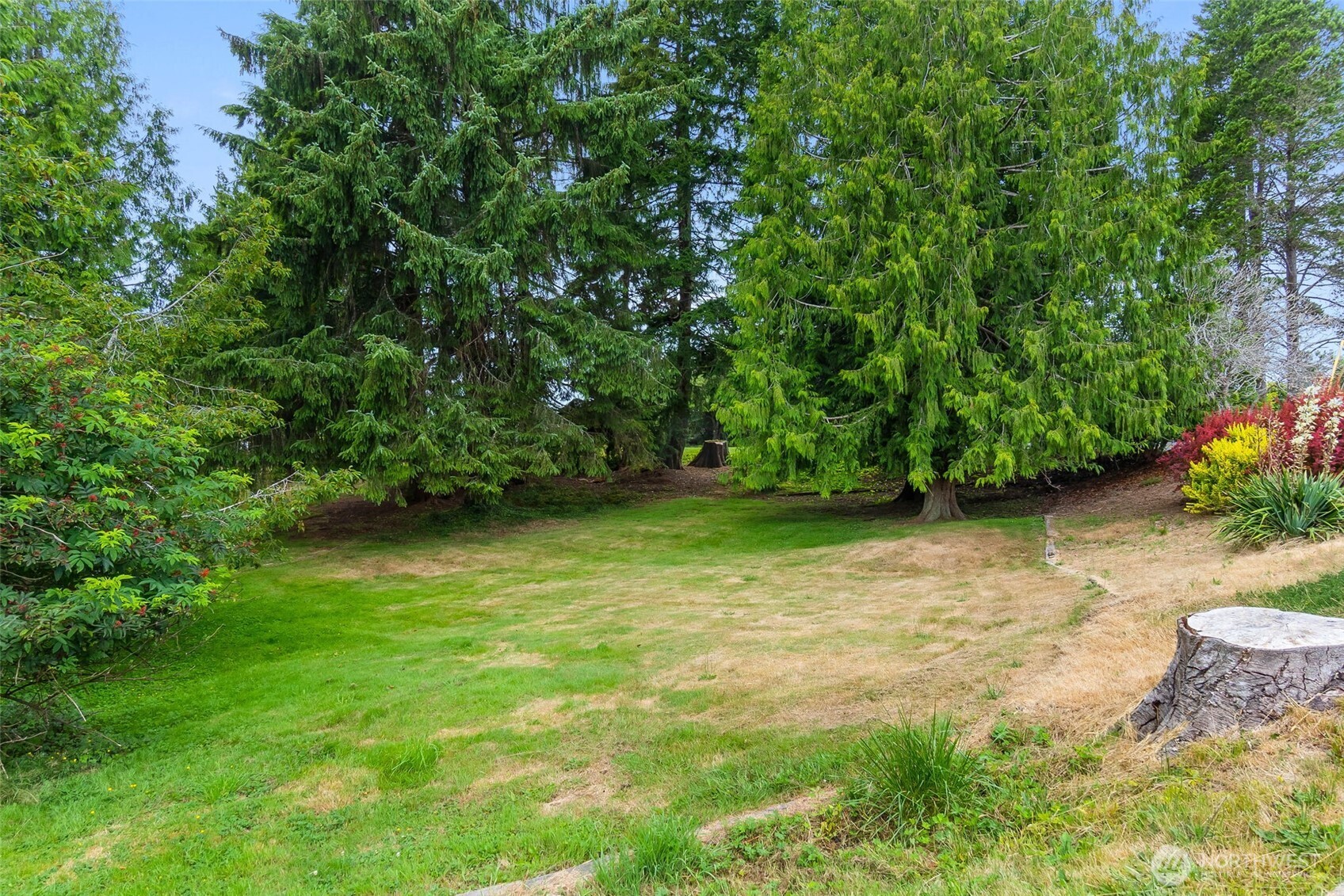 711 Purkey Avenue Aberdeen, WA 98520 - Photo 36 of 39 a backyard of a house with lots of green space
