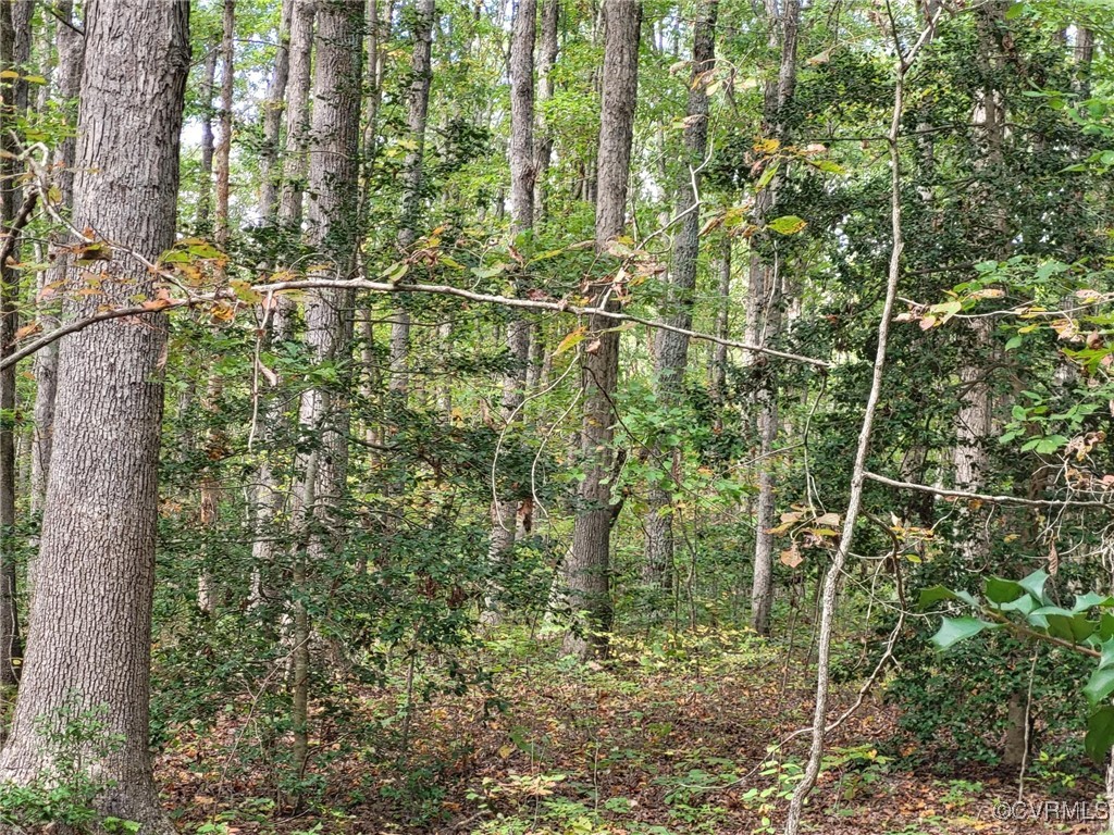 0 Dunn Road Montpelier, VA 23192 - Photo 8 of 15 Gallery Image 8