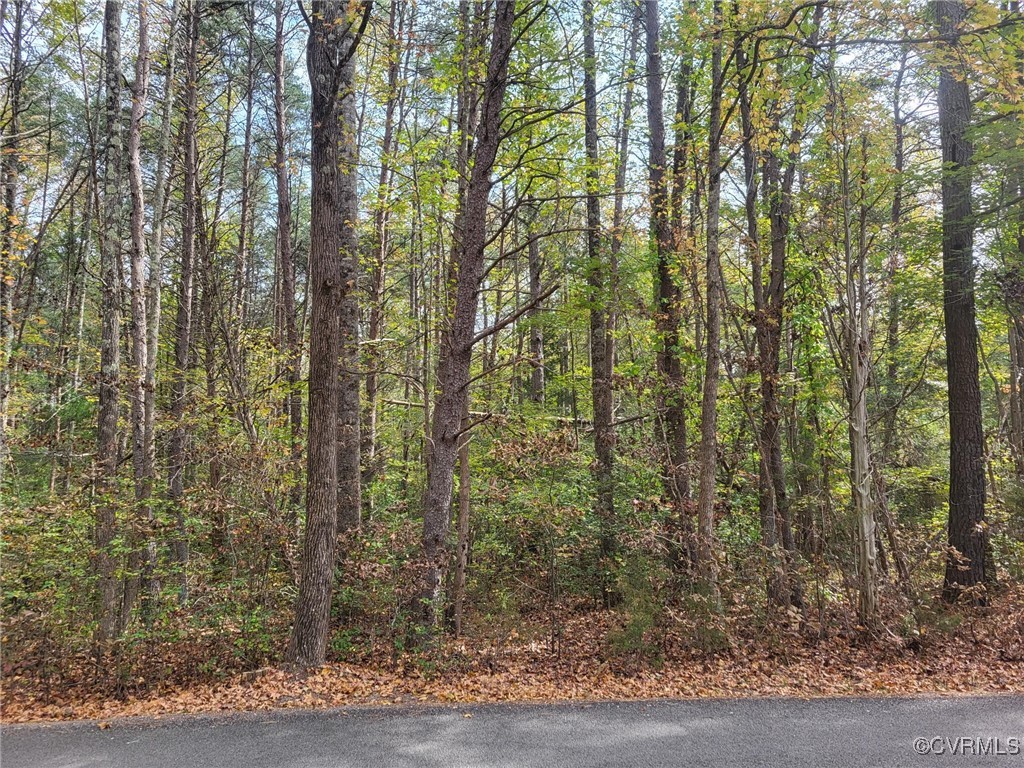0 Dunn Road Montpelier, VA 23192 - Photo 10 of 15 Gallery Image 10