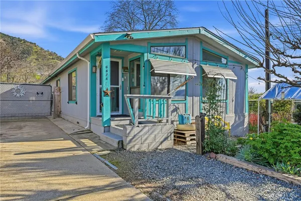 a view of a bunch of flowers and trees