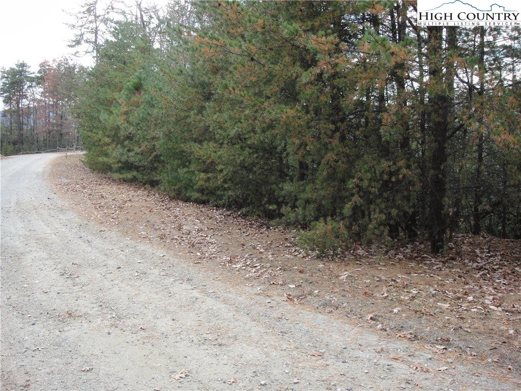 Lot 78 Buck Mountain Road Purlear, NC 28665 - Photo 2 of 16