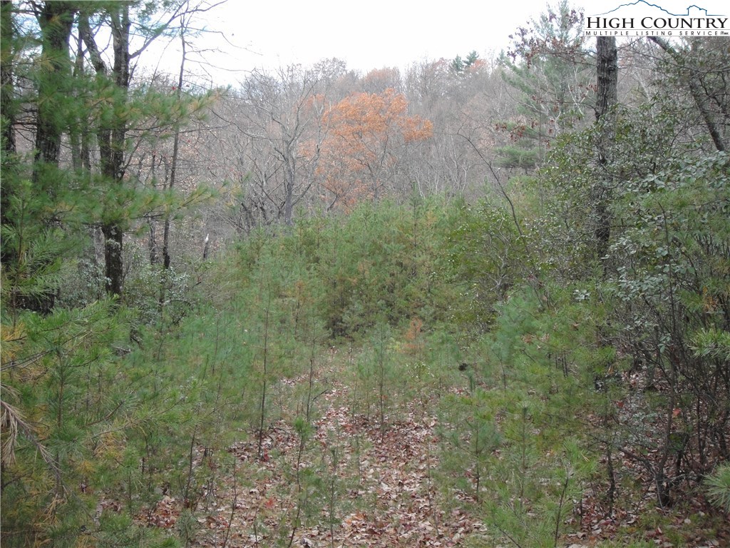 Lot 78 Buck Mountain Road Purlear, NC 28665 - Photo 3 of 16