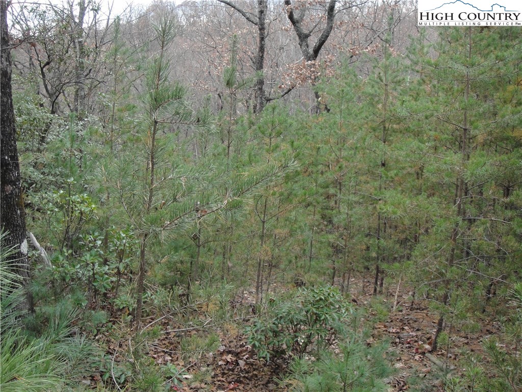 Lot 78 Buck Mountain Road Purlear, NC 28665 - Photo 5 of 16