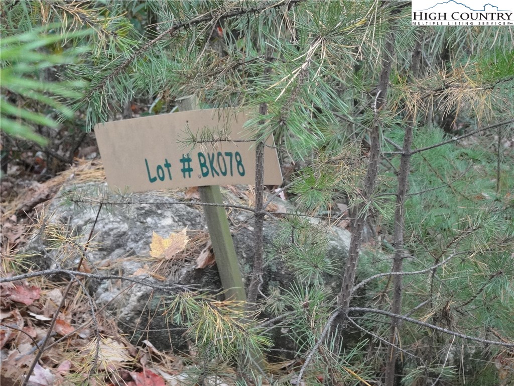 Lot 78 Buck Mountain Road Purlear, NC 28665 - Photo 8 of 16